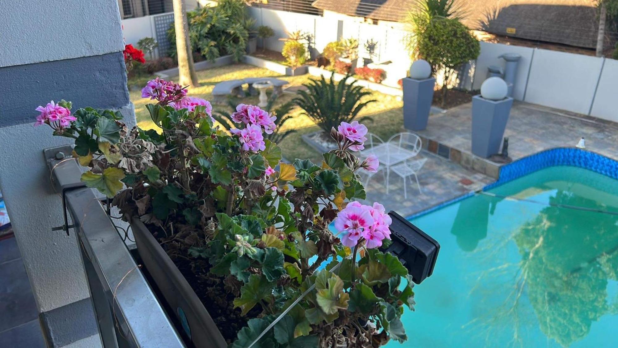 2 Op Terblanche Guesthouse Boksburg Bagian luar foto